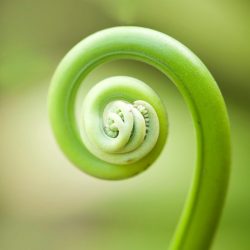 cropped-Spirale-2.jpg